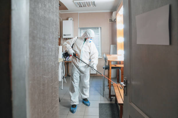 Best Water Damage & Mold Remediation  in Plano, TX