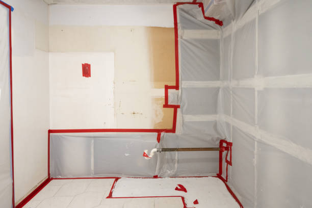 Best Emergency Mold Remediation  in Plano, TX